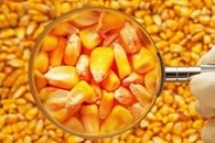 Transforming Corn Stover into Activated Carbon for Use in Water Treatment