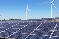 Land Productivity Could be Increased by Combining Sheep Grazing and Solar Energy Production