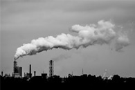Perceptions of Naturalness Predict Public Support for Soil Carbon Storage