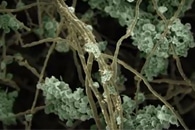 Acoustics Solutions Based on Cellulose Fibers can Cut Carbon Footprint of Buildings