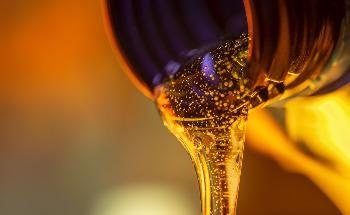 Dartmouth Professor Selected to be Director of New Brazilian A2G Biofuel Laboratory