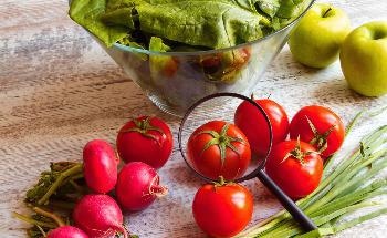 Farm Marketing Success Hinges on Community Resources with Natural and Cultural Assets