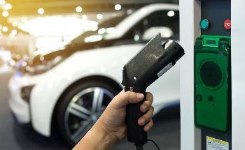 Researchers Convert Tamarind Shells into Energy Storage Devices