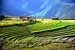 Acid Rain Reduces Greenhouse Gas Emissions from Rice Paddies