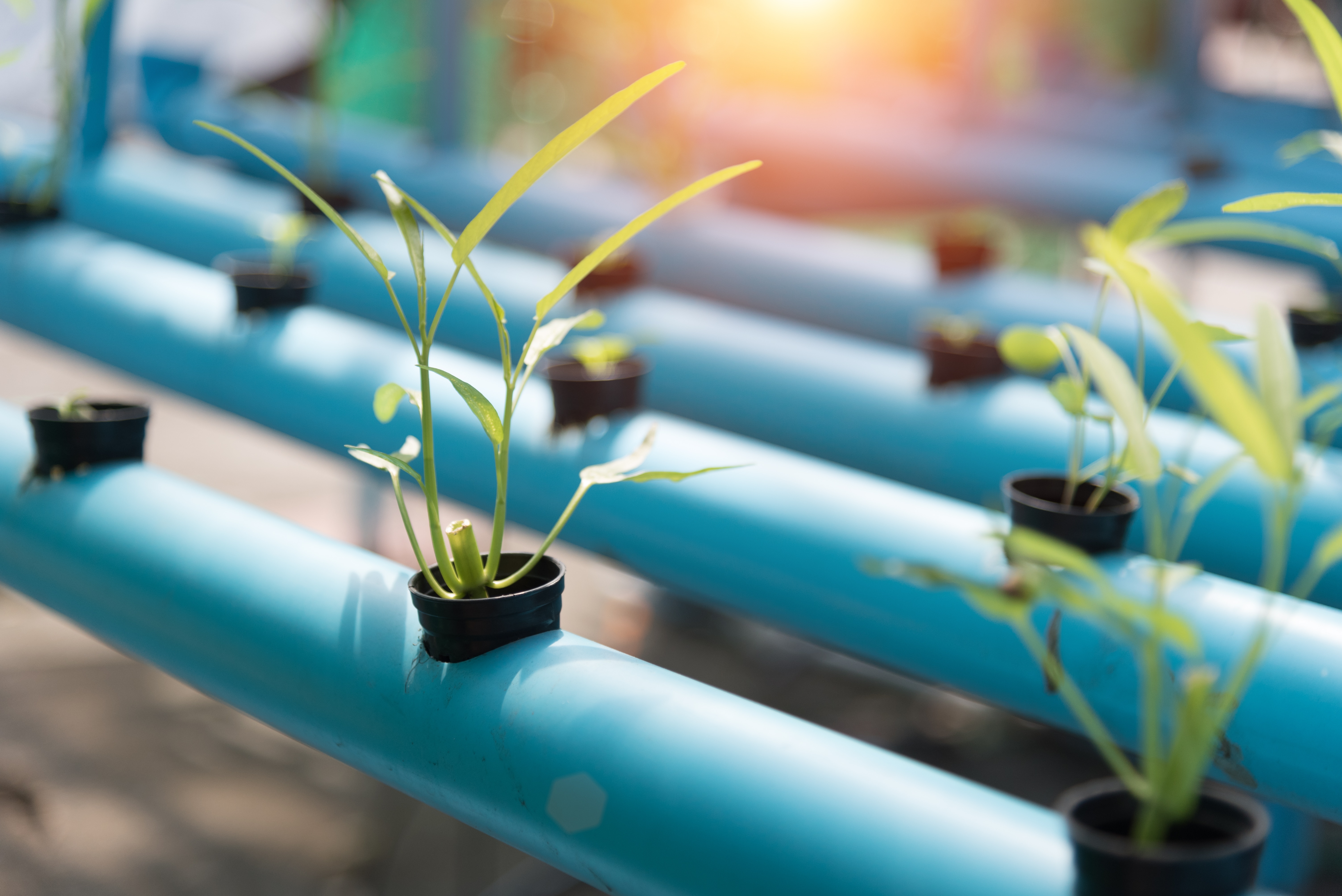 MITEI Awards Seed Fund Grants to Seven Novel Energy Research Projects