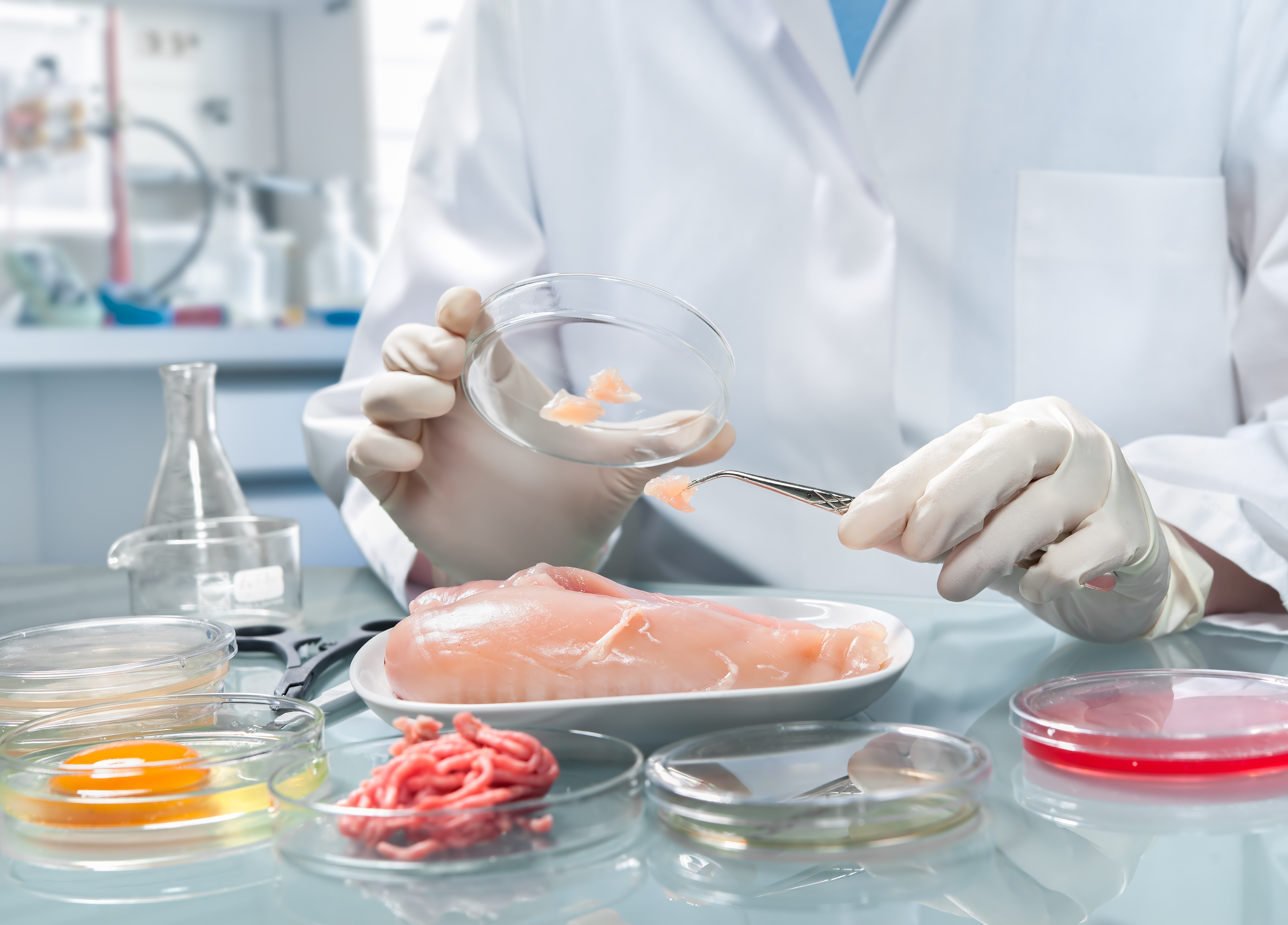 Study Explores How the Global Food Production System Could be Improved