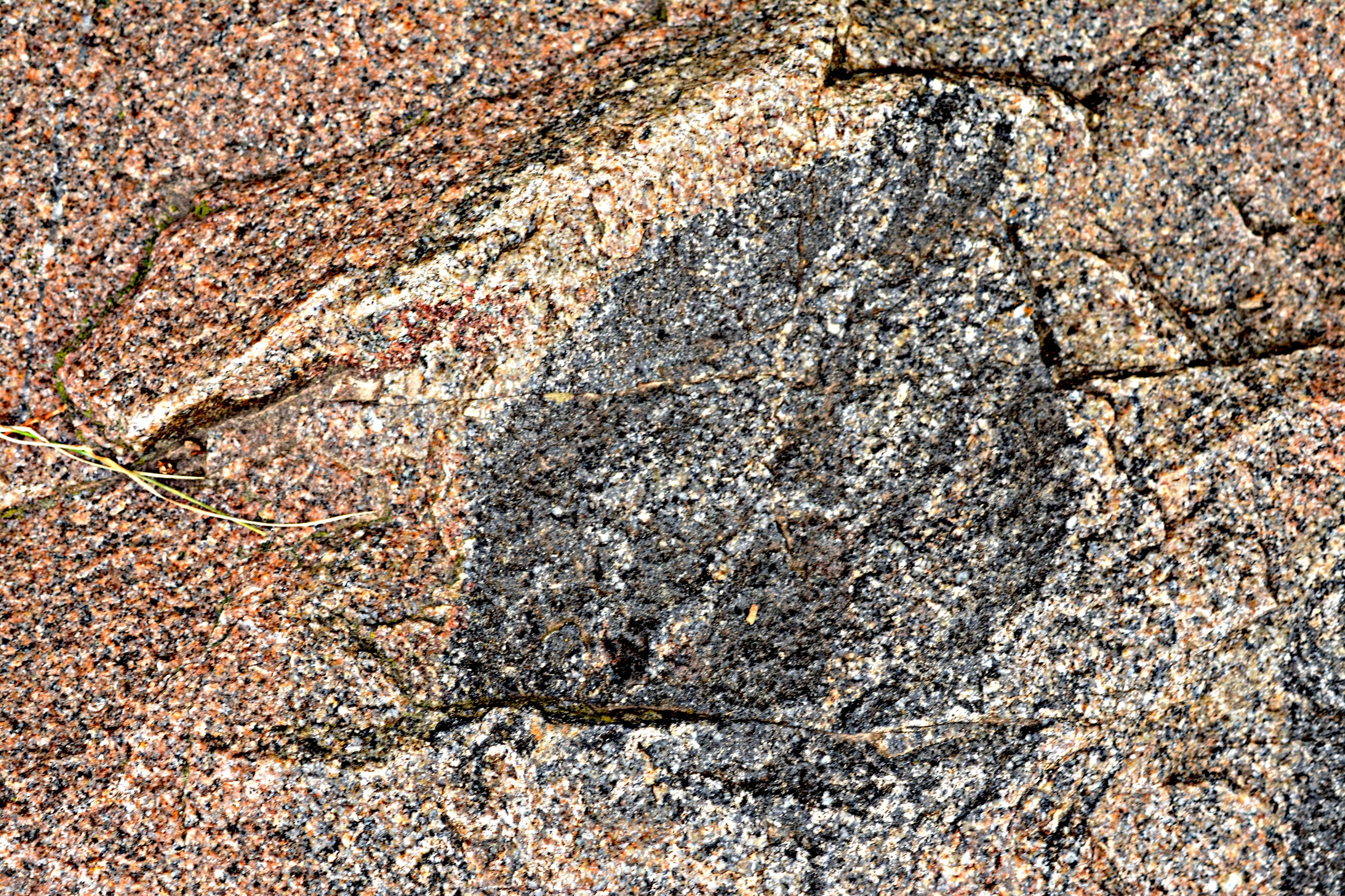 Research Uncovers Secrets About the First and Oldest of the 'Big Five' Extinctions