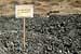 Manure and Wastewater Polluting Water and Endagering Health in the Gaza Strip