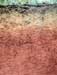 NASA Using Earthworms to Understand Weather, Floods, Droughts and Landslides
