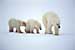 Global Warming to be Boosted as Permafrost Thaws