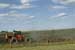 Varying Fertilizer and Seed Rates Makes Sense for Improving Crop Yield on Farms