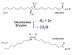 Enzyme Discovery Could Lead to The Development of New Biofuels