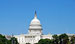 WWF Releases Greenprint for Presidential Candidates