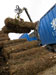 Forest Residue Biomass Could Be Used to Create Clean, Cheap Electricity
