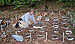 Earthworms Alter the Way Forests Hold Carbon