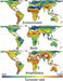 Amphibians Shown to be Good Indicators of Biodiversity and Climate Change