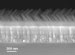 Changing the Face of Solar Power With Coating that Boosts the Amount of Captured Solar Energy