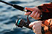 Climate Change Causing Long Lasting and Profound Changes to Fish
