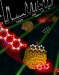 Researchers Make Breakthrough on Chemical Processes for Converting Chemical Energy to Electrical Energy