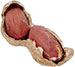 New Study Shows Effects of Tillage and Rotation on Peanut Crop Yield and Pest Development