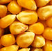Ethanol Demands Ties Crop Prices to the Petrol Pump, Not to the Grocery Shelves