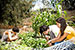 Students Return to a Greener UC San Diego