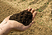 Organic Matter in Soil Being Changed by Global Warming