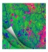 New and Improved Tool to Monitor Deforestation and Degradation in Tropical Forests Get Huge Boost