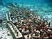 Coral Reefs Recovering Four Years After Tsunami