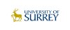 Research Grant Awarded to Use Nanotechnology to Develop Organic-Inorganic Hybrid Solar Cells