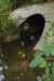 Engineers Establish Center of Excellence in Sustainable Water Infrastructure Management