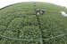 CO2 Levels Boost Plant Respiration and May Affect Climate and Crops