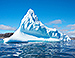 Antarctica Found to be Cradle of Life