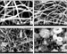 Record Long Nanowires To Bring Better Fuels Cells