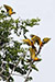 Ecotourism the Key to Stopping Deforestation of the Amazon