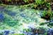 Mud Flat Microbes Clean Up Oil Spill Pollution Chemicals