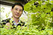 Better Biofuels From Mapping of Plant Genes