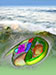 Algae Genes Show How Carbon Is Managed in the World's Oceans