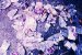 Plastic Bottle Recycling Report Outlines the Current State of the Plastic Bottle Recycling Industry