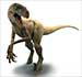 Asteroid Impact Did Not Cause Dinosaur Extinction