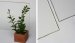 Solarphire AR Anit-Reflective Glass Maximising Solar Panel Efficiency