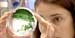 San Diego Backs Algal Biofuel Development Partnership