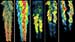 Combustion Science to be Studied at Princeton University Energy Frontier Research Centers