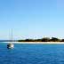 Island Ecosystems Need Protection From Climate Change