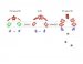 New Understanding of Photosynthesis Energy Conversion