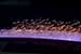 Solar Cells Being Made More Efficient With Laser Technology