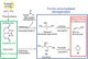Researchers Discover Process That Could Lead to the Widespread Replacement of Petrochemicals With Bio Based Materials