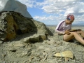 Foraging of Insects Boosted by Rising Temperatures