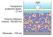 Cheaper and Better Flexible Solar Cells A Step Closer to Reality