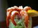 Biodiesel Fuel Made From Shrimp Shells